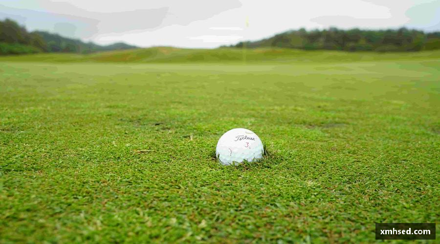 三亿体育有限公司一键解锁全球赛事，让热爱永不缺席⚽️